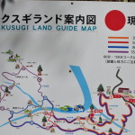 Yakusugi Land