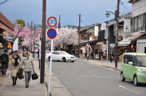 Kyoto Iwatayama