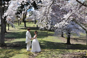 Nara Park i zdjęcia ślubne