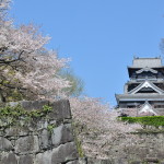 Zamek w Kumamoto