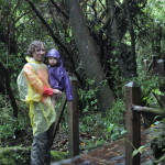 Wedrujac w Parku Narodowym Wulkanu Poas W Parku Narodowym Wulkanu Poas