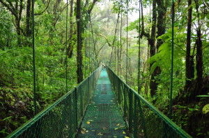 Wiszące mosty w Monteverde