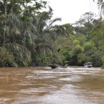 Komunikacja wodna w drodze do Tortuguero