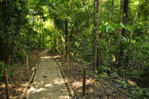 Kostaryka Park Manuel Antonio