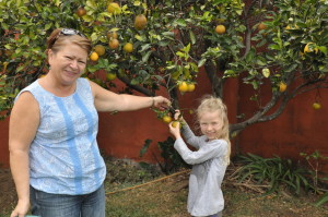 Oliwia zbiera pomarańcze z ogródka