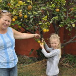Oliwia zbiera pomarańcze z ogrodu w Kostaryce