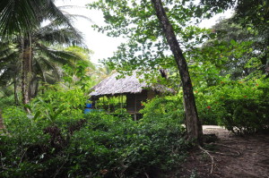 Domek w dżungli