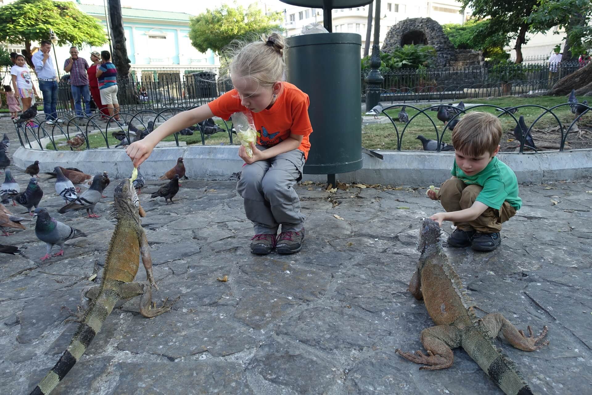Dzieci karmią Iguany w Ekwadorze