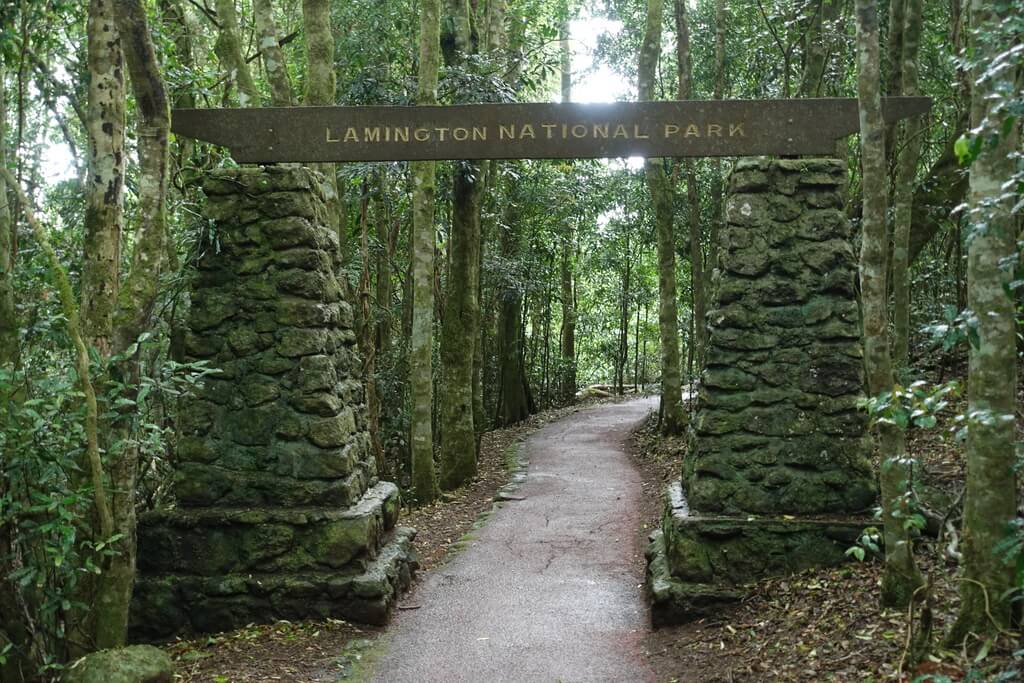 Park Narodowy Lamington